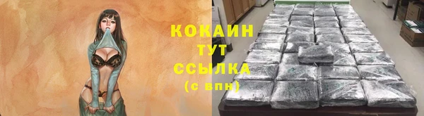 прущий лед Алексин