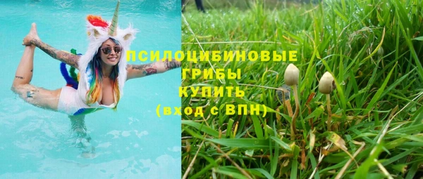 прущий лед Алексин