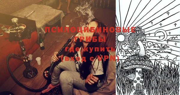 крисы Аркадак