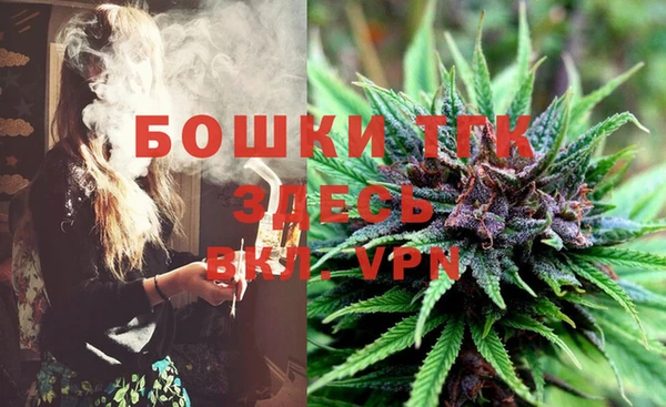 крисы Аркадак